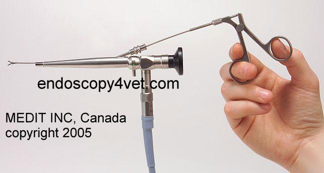 Multy purpose oto endoscope, endoscopy, veterinary