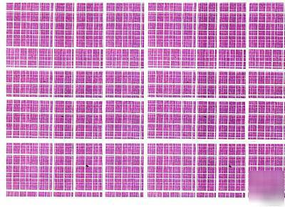 Liiiiiiiiiiiiii 10 pictures in different colours