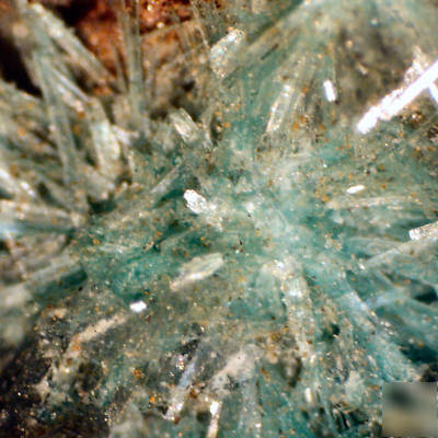 Meiji microscope emtr-2 trinocular 10X/30X nikon camera