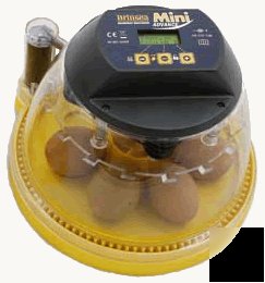 Brinsea mini advance incubator - super sale 