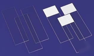 Vwr plain and frosted micro slides 2991D double frosted